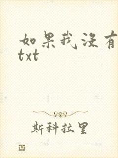 如果我没有爱过txt