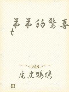 弟弟的惊喜txt