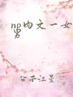 np肉文一女多男