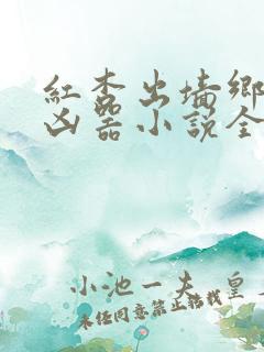 红杏出墙乡村大凶器小说全文阅读