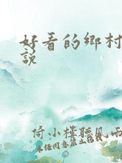 好看的乡村的小说