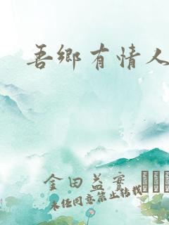 吾乡有情人小说