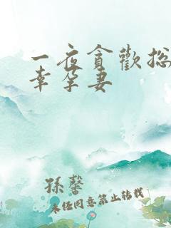 一夜贪欢总裁的幸孕妻