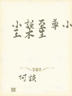 小说至尊小农民王木生
