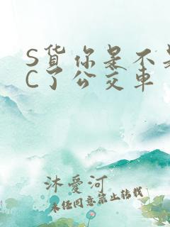 S货你是不是欠C了公交车