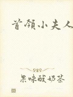 首领小夫人
