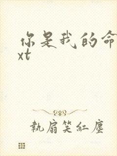 你是我的命运txt