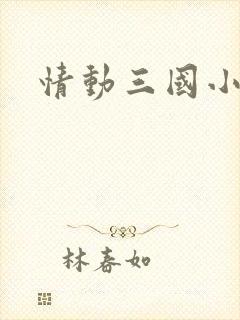 情动三国小说