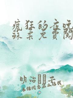 疯狂的夜晚小说苏柔免费阅读