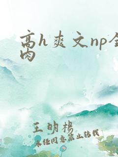 高h爽文np全肉