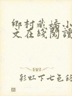 乡村藏娇小说全文在线阅读