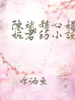 陈斌赵心媚与高婉君的小说