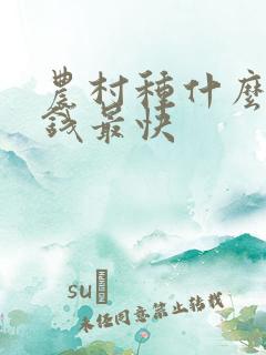 农村种什么最挣钱最快