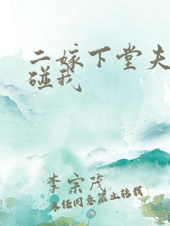 二嫁下堂夫君别碰我
