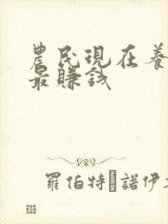 农民现在养什么最赚钱