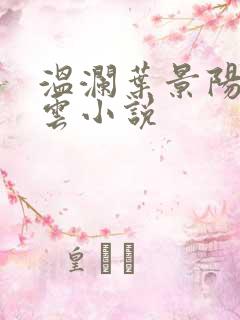 温澜叶景阳温云云小说