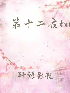 第十二夜txt