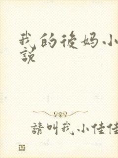 我的后妈小姨小说