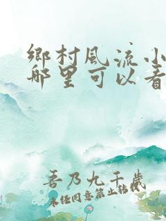 乡村风流小医仙哪里可以看