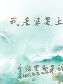 我老婆是上司