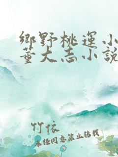 乡野桃运小神医董大志小说
