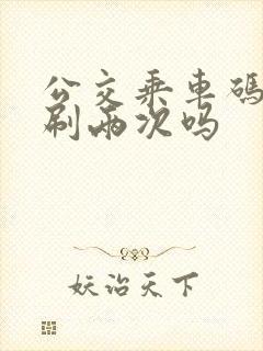 公交乘车码可以刷两次吗