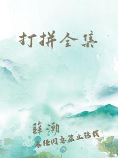 打拼全集