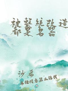 被系统改造全身都是名器