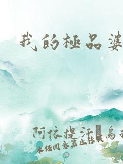 我的极品婆婆