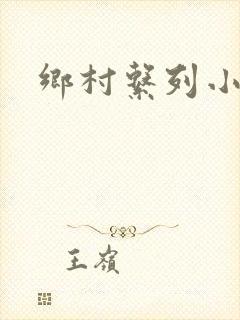 乡村系列小说