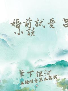 婚前试爱 吕颜 小说