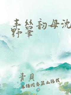丰丝韵母沈蓉书野笔