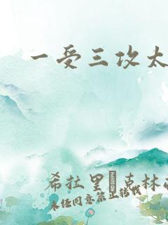 一受三攻太涨了