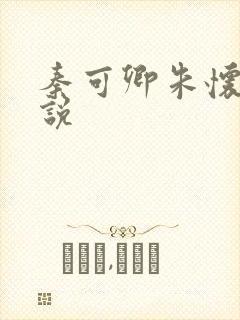 秦可卿朱怀镜小说