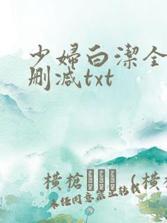 少妇白洁全文无删减txt
