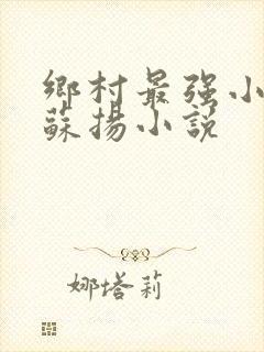 乡村最强小神农苏扬小说