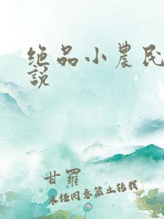 绝品小农民的小说