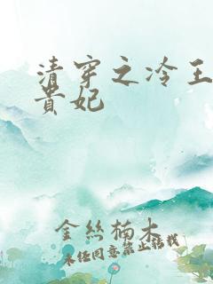 清穿之冷王的皇贵妃