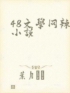 48文学网辣文小说