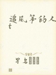追风筝的人txt