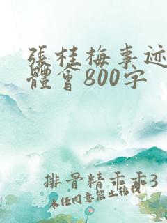 张桂梅事迹心得体会800字