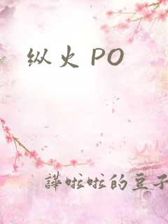 纵火 PO