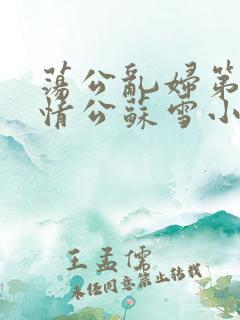 荡公乱妇第1章情公苏雪小说