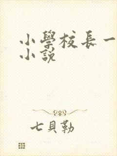 小学校长一家春小说