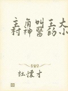 主角叫王大春乡村神医的小说