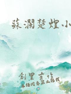 苏澜楚煜小说