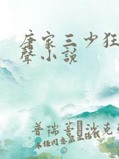 唐家三少狂神有声小说