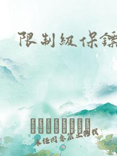 限制级保镖