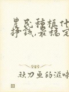 农民种植什么最挣钱,最稳定
