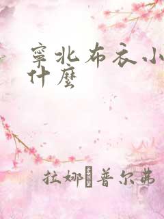 宁北布衣小说叫什么